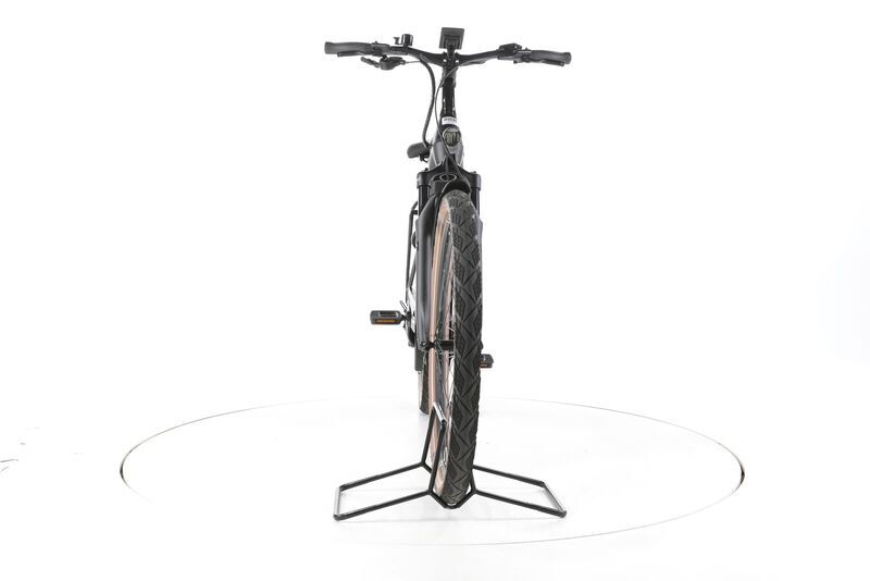 Pegasus Premio EVO 10 Lite 2023 | black | 28" | 45 cm | < 500 km, image 3 of 4
