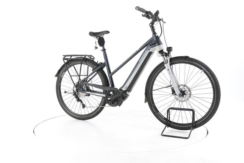 Pegasus Premio Evo 10 Lite 2023 | grey | 28" | 55 cm | 500 - 3000 km, image 1 of 4
