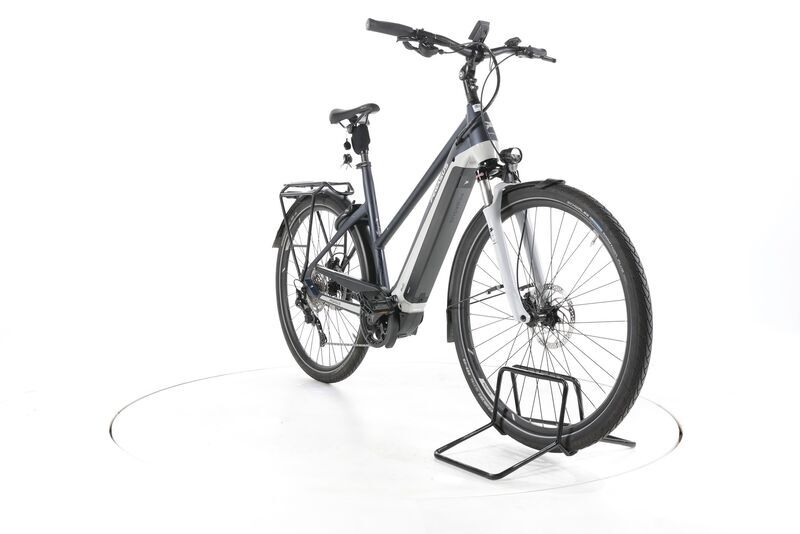 Pegasus Premio Evo 10 Lite 2023 | grey | 28" | 55 cm | 500 - 3000 km, image 2 of 4