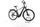 Pegasus Premio EVO 10 Lite 2023 | black | 28" | 45 cm | 500 - 3000 km, thumbnail 2 of 5