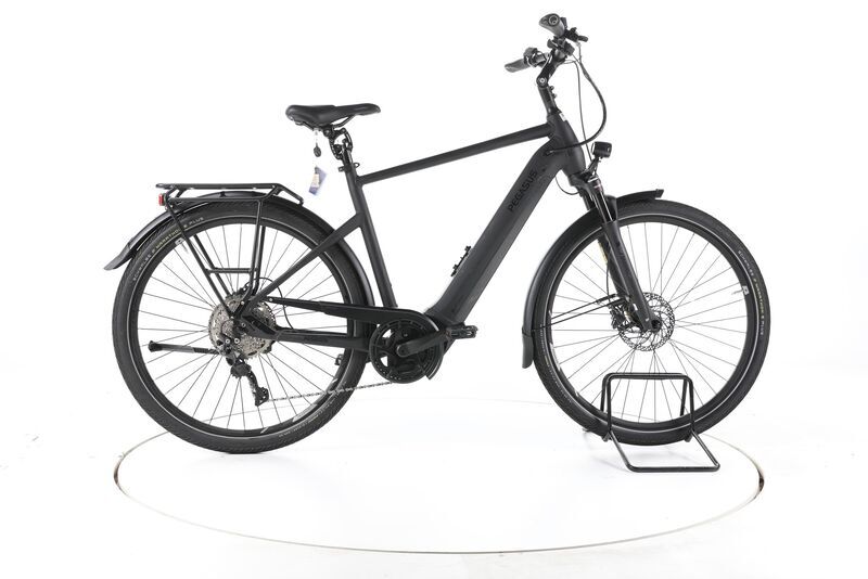 Pegasus Premio EVO 10 Lite 2023 | zwart | 28" | 55 cm | 500 - 3000 km, image 1 of 5