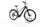 Pegasus Premio Evo 10 Lite 2024 | schwarz | 28" | 55 cm | < 500 km, thumbnail 1 of 4