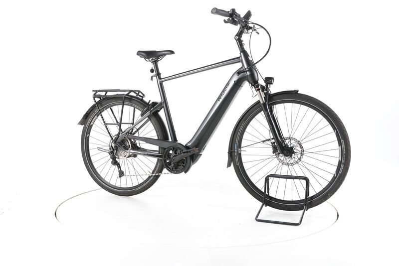 Pegasus Premio EVO 10 Lite ,Grau,Rh 60 2022 | preto | 28" | 60 cm | 500 - 3000 km, image 1 of 4