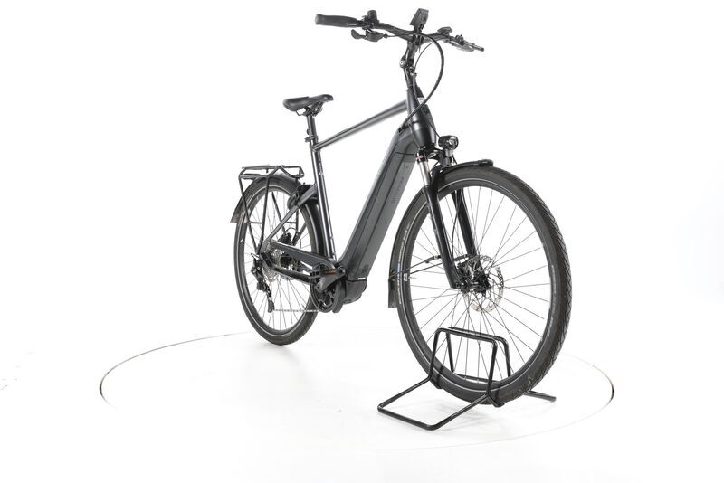 Pegasus Premio EVO 10 Lite ,Grau,Rh 60 2022 | preto | 28" | 60 cm | 500 - 3000 km, image 2 of 4