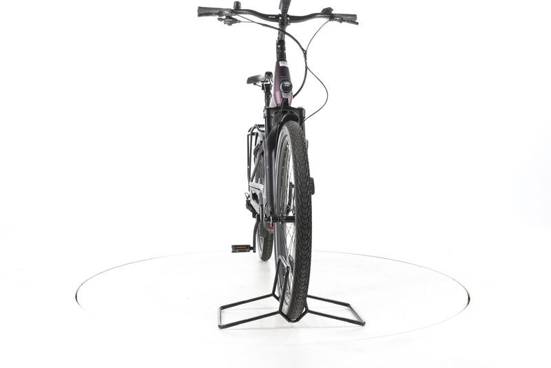 Pegasus Premio EVO 11 2022 | purple | 28" | 55 cm | 500 - 3000 km, image 3 of 4