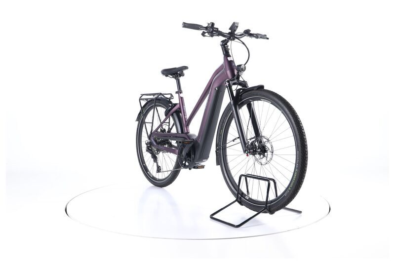 Pegasus Premio EVO 11 (2022) | Trapez | violett matt | 28" | 50 cm | 100 - 500 km 3