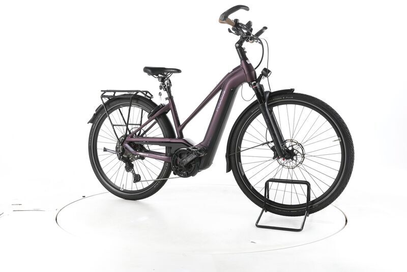 Pegasus Premio EVO 11 "40 Years" 2022 | purple | 28" | 45 cm | > 3000 km, image 1 of 4
