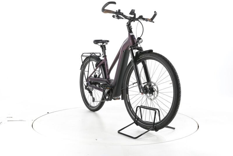 Pegasus Premio EVO 11 "40 Years" 2022 | purple | 28" | 45 cm | > 3000 km, image 2 of 4
