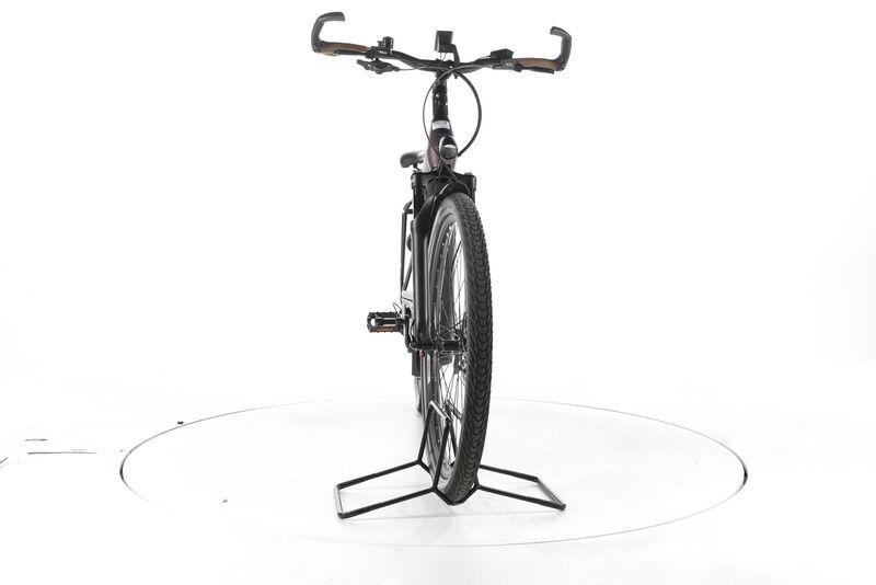 Pegasus Premio EVO 11 "40 Years" 2022 | purple | 28" | 45 cm | > 3000 km, image 3 of 4