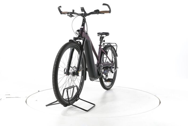 Pegasus Premio EVO 11 "40 Years" 2022 | purple | 28" | 45 cm | > 3000 km, image 4 of 4
