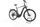 Pegasus Premio Evo 11 40Years 2022 | czarny | 28" | 60 cm | > 3000 km, thumbnail 1 of 4