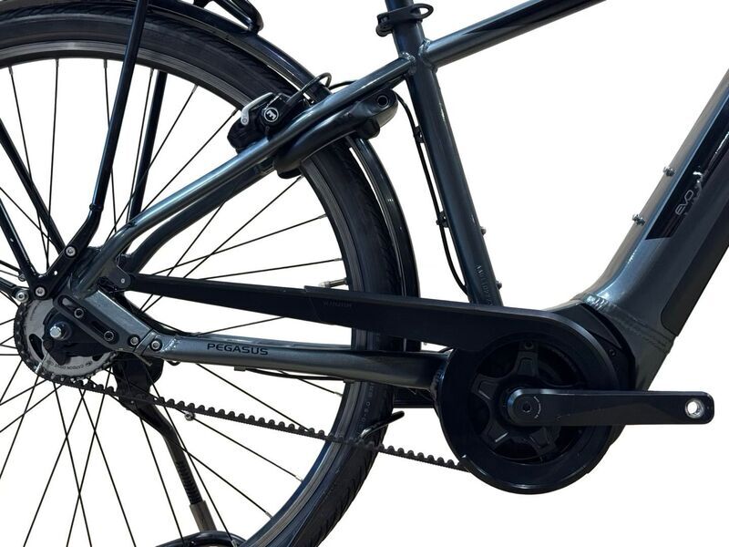 Pegasus Premio Evo 5 Belt 2022 | черен | 28" | 45 cm | 500 - 3000 km, image 5 of 5