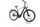Pegasus Premio EVO 5 Lite COMFORT 2022 | preto | 28" | 50 cm | > 3000 km, thumbnail 1 of 4