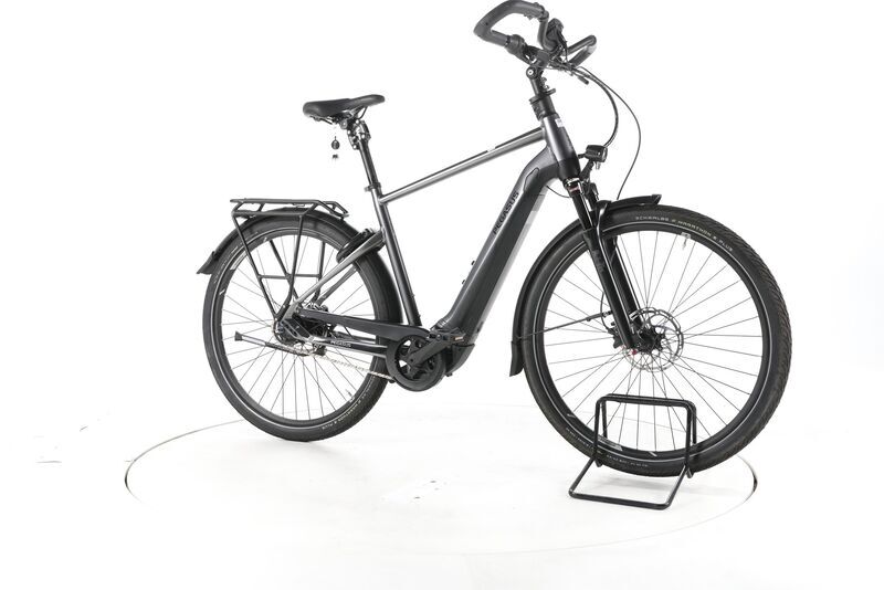 Pegasus Premio Evo 5 Lite Comfort 2022 | grey | 28" | 55 cm | 500 - 3000 km, image 1 of 4