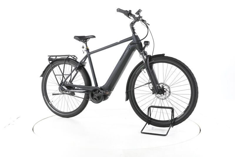 Pegasus Premio EVO 5 R 2024 | grey | 28" | < 500 km 1