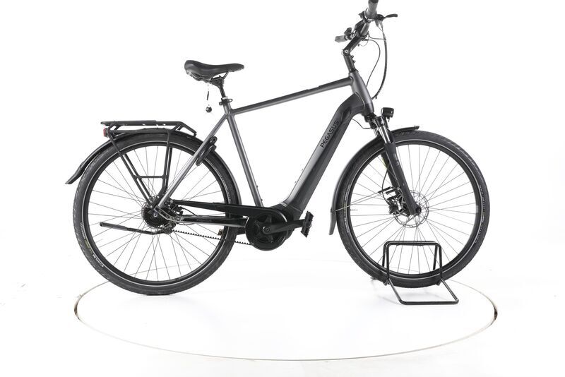 Pegasus Premio EVO 5F 2022 | grey | 28" | 60 cm | > 3000 km, image 1 of 5