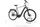 Pegasus Premio EVO 5F 2022 | grey | 28" | 60 cm | > 3000 km, thumbnail 2 of 5