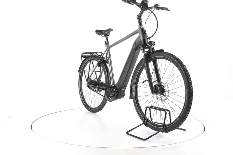 Pegasus Premio EVO 5F 2022 | grey | 28" | 60 cm | > 3000 km, image 3 of 5