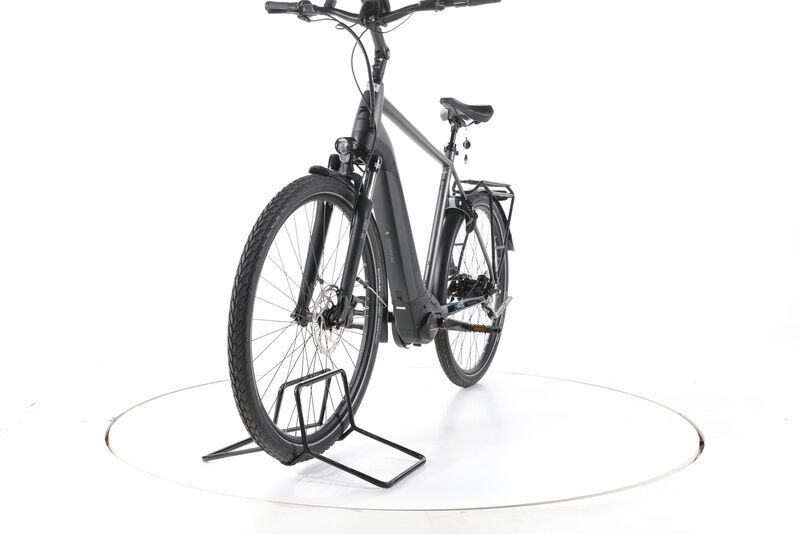 Pegasus Premio EVO 5F 2022 | grey | 28" | 60 cm | > 3000 km, image 5 of 5
