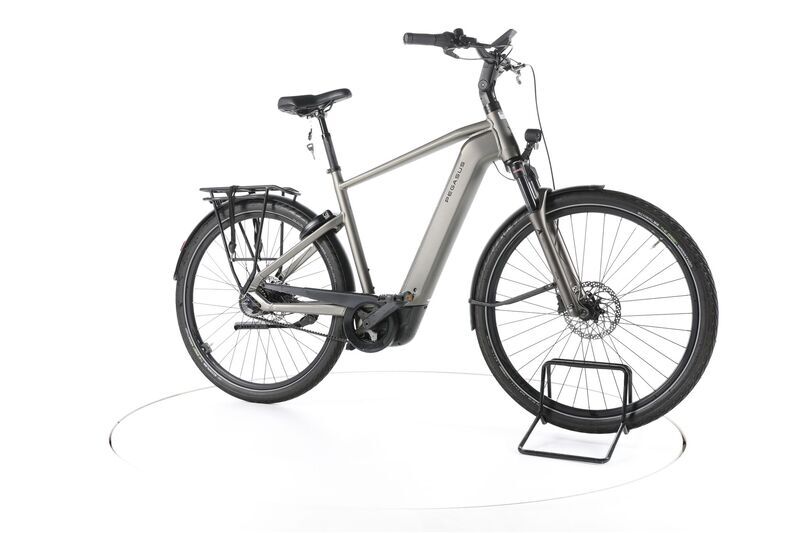 Pegasus Premio EVO 5F 2025 | grau | 28" | 55 cm | 500 -3000 km 1