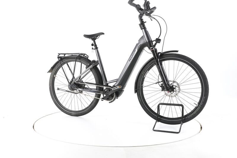 Pegasus Premio EVO 5F Lite 2022 | grey | 28" | 55 cm | > 3000 km, image 2 of 5
