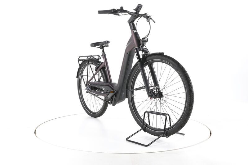 Pegasus Premio EVO 5F Lite Belt 2024 | black | 28" | 50 cm | 500 - 3000 km, image 3 of 5