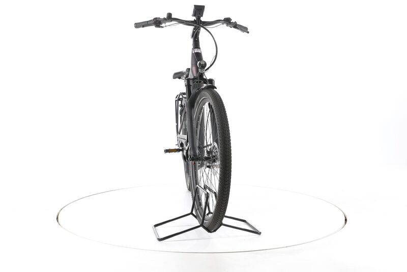 Pegasus Premio EVO 5F Lite Belt 2024 | black | 28" | 50 cm | 500 - 3000 km, image 4 of 5