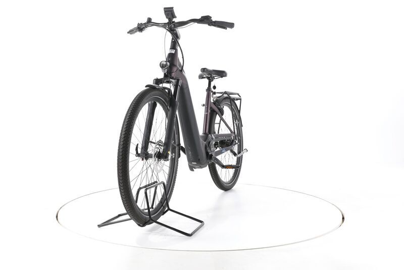 Pegasus Premio EVO 5F Lite Belt 2024 | black | 28" | 50 cm | 500 - 3000 km, image 5 of 5