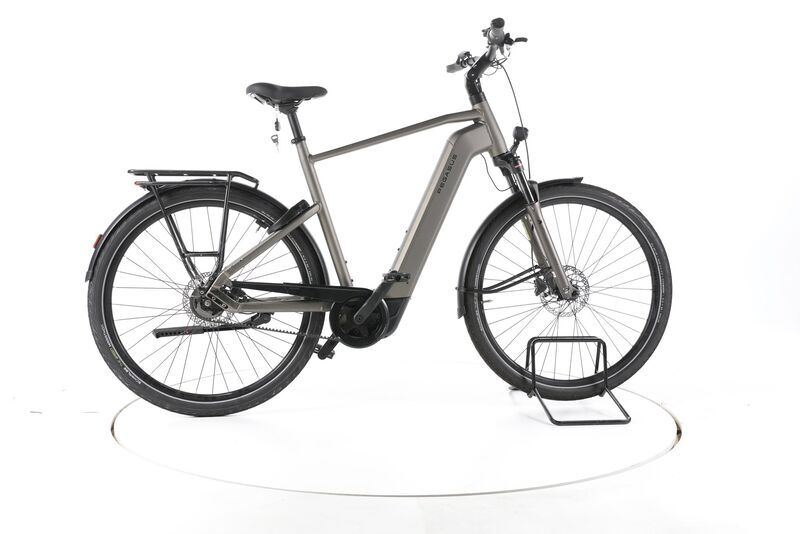 Pegasus Premio EVO 5F Lite Belt 2024 | šedá | 28" | 60 cm | > 3000 km, image 1 of 5