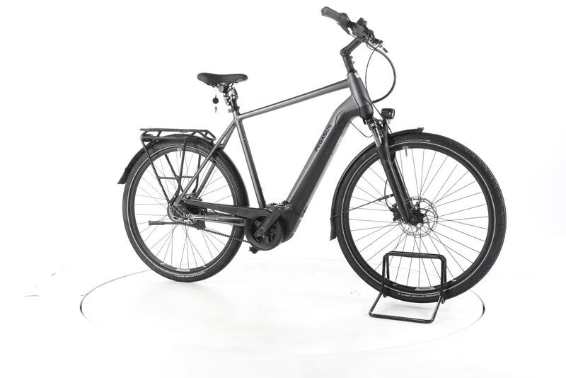Pegasus Premio EVO 5R 2022 | grau | 28" | 60 cm | 500 - 3000 km, image 1 of 4