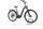 Pegasus Savino Evo 10D 2023 | black | 28" | 50 cm | < 500 km, thumbnail 1 of 4