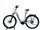 Pegasus Savino Evo 5R 2022 | grey | 28" | 45 cm | >3000 km thumbnail 1/3