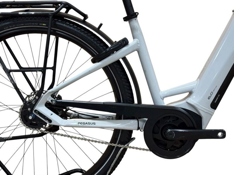 Pegasus Savino Evo 5R 2022 | grey | 28" | 45 cm | >3000 km 3