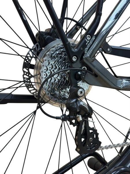 Pegasus Solero E8 Sport Performance (2021) | Diamond | black | 28" | 55 cm | 3000 - 4000 km 5