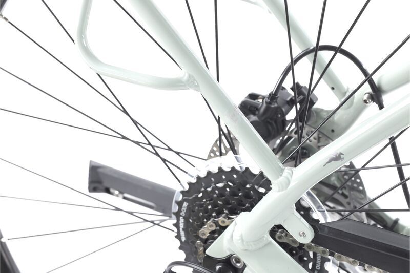 Pegasus Solero EVO 9 Special Edition (2021) | Low Entry | green | 50 cm | 100 - 500 km 3