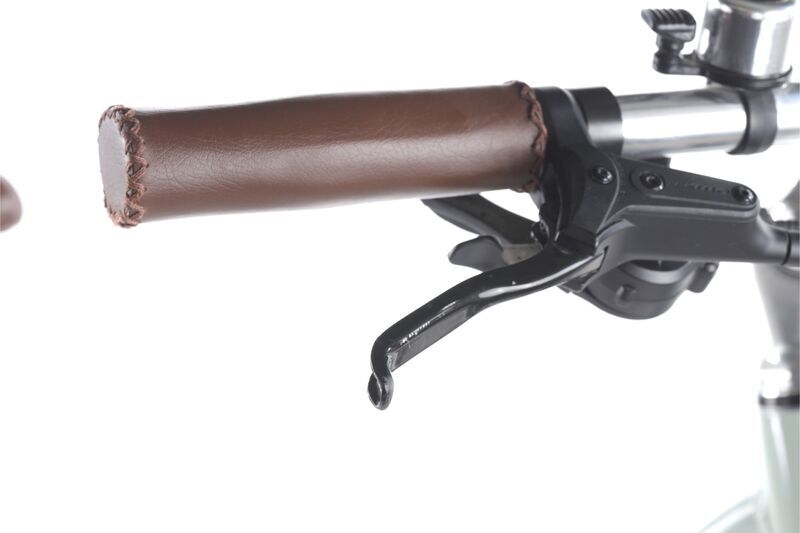 Pegasus Solero EVO 9 Special Edition (2021) | Low Entry | green | 50 cm | 100 - 500 km 4