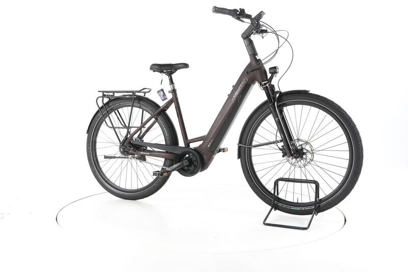 Pegasus Strong 5R 2024 | brown | 28" | 50 cm | 500 - 3000 km, image 1 of 4
