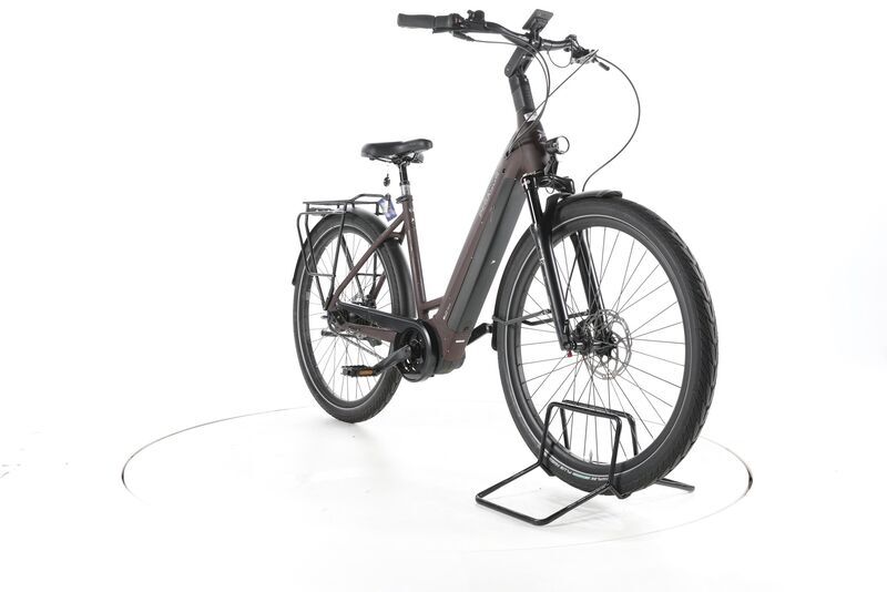 Pegasus Strong 5R 2024 | brown | 28" | 50 cm | 500 - 3000 km, image 2 of 4