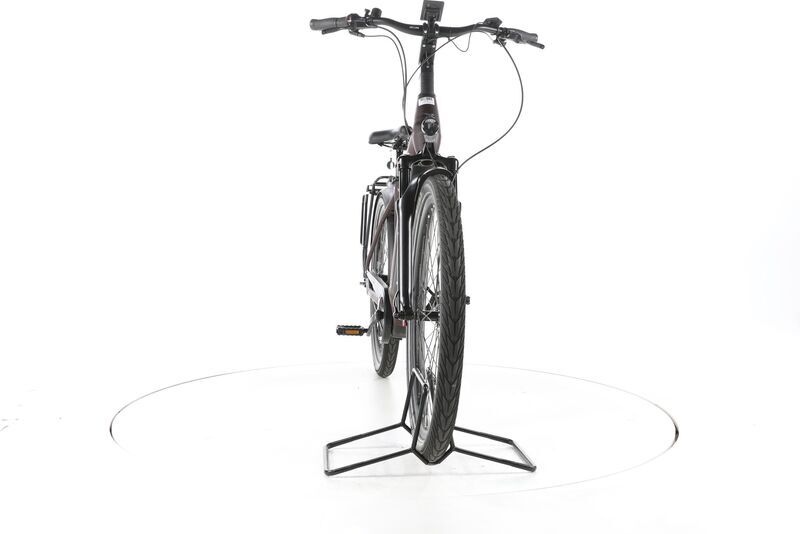 Pegasus Strong 5R 2024 | brown | 28" | 50 cm | 500 - 3000 km, image 3 of 4