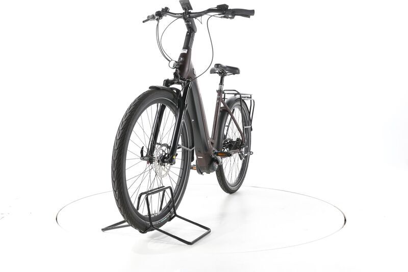 Pegasus Strong 5R 2024 | brown | 28" | 50 cm | 500 - 3000 km, image 4 of 4