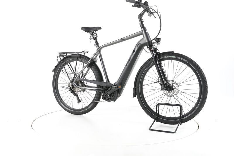 Pegasus Strong EVO 10 2022 | grey | 28" | 60 cm | 500 - 3000 km 1