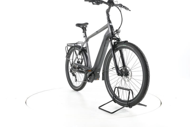 Pegasus Strong EVO 10 2022 | grey | 28" | 60 cm | 500 - 3000 km 2