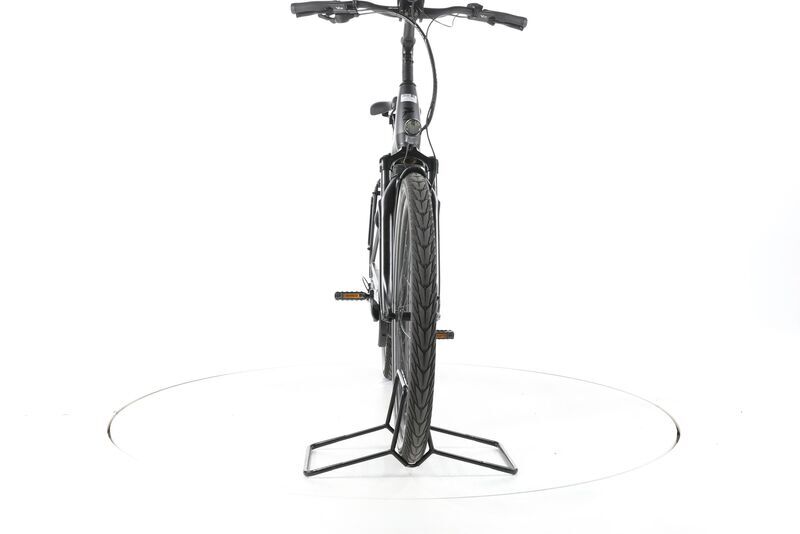 Pegasus Strong EVO 10 2022 | grey | 28" | 60 cm | 500 - 3000 km 3