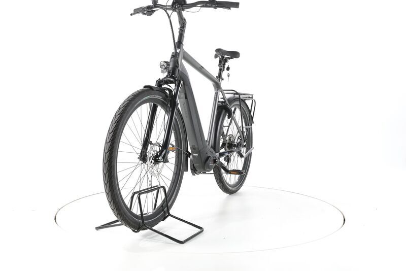Pegasus Strong EVO 10 2022 | grey | 28" | 60 cm | 500 - 3000 km 4