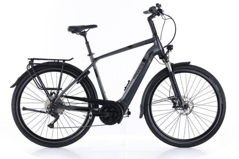 Pegasus Strong EVO 10 (2022) | Diamant | grau | 28" | 55 cm | 1500 - 2000 km 1