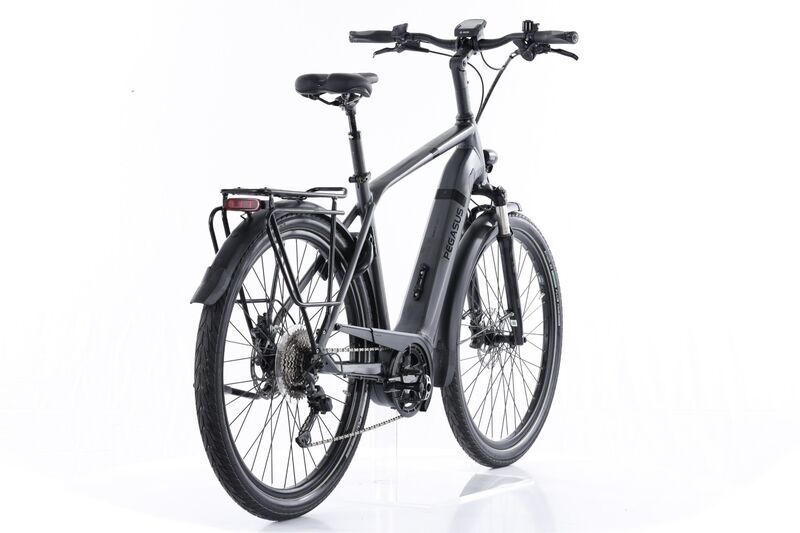 Pegasus Strong EVO 10 (2022) | Diamant | grau | 28" | 55 cm | 1500 - 2000 km 2