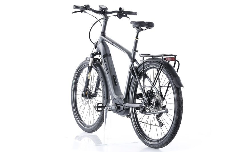 Pegasus Strong EVO 10 (2022) | Diamant | grau | 28" | 55 cm | 1500 - 2000 km 3