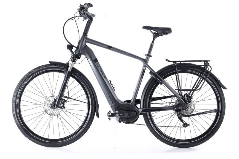 Pegasus Strong EVO 10 (2022) | Diamant | grau | 28" | 55 cm | 1500 - 2000 km 4