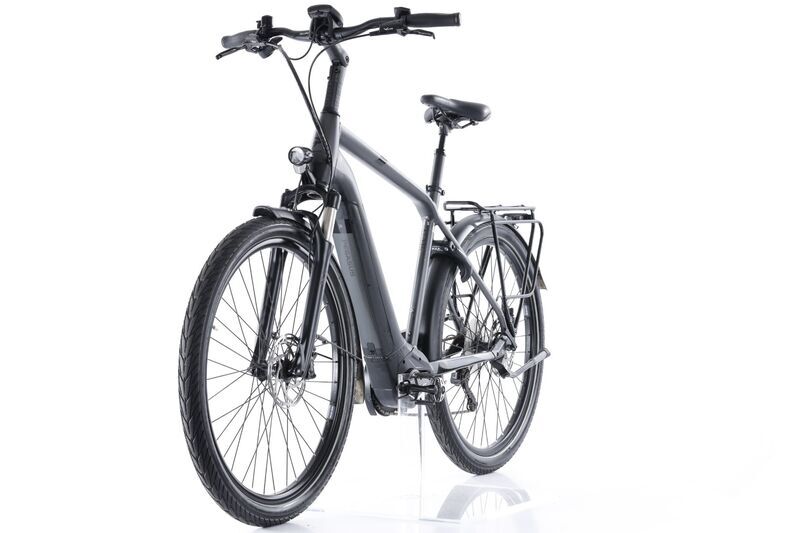 Pegasus Strong EVO 10 (2022) | Diamant | grau | 28" | 55 cm | 1500 - 2000 km 5