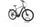 Pegasus Strong EVO 10 2022 | grey | 28" | 55 cm | > 3000 km, thumbnail 1 of 4